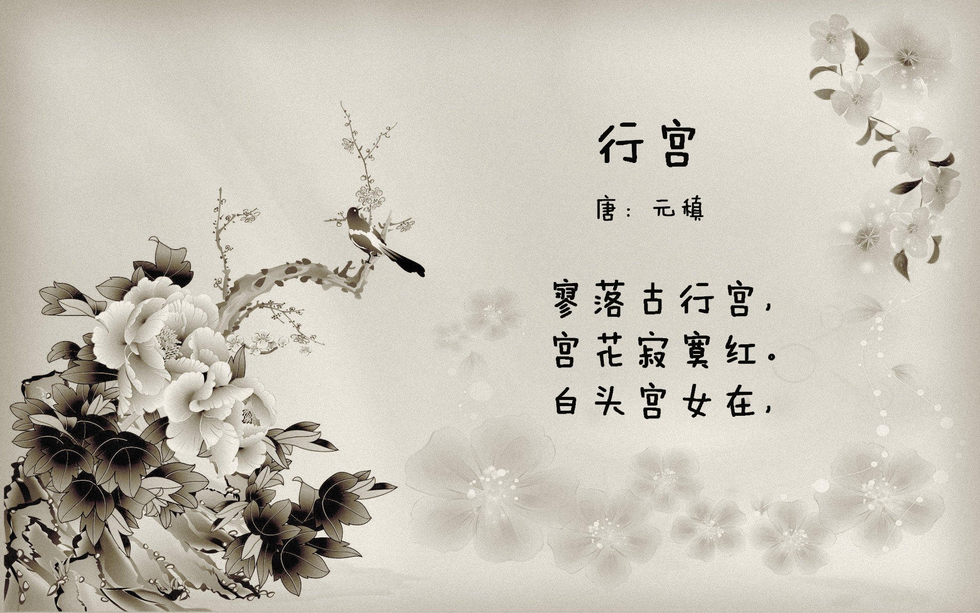 _街头篮球破风华：青春的自由表达_，街头篮球mv