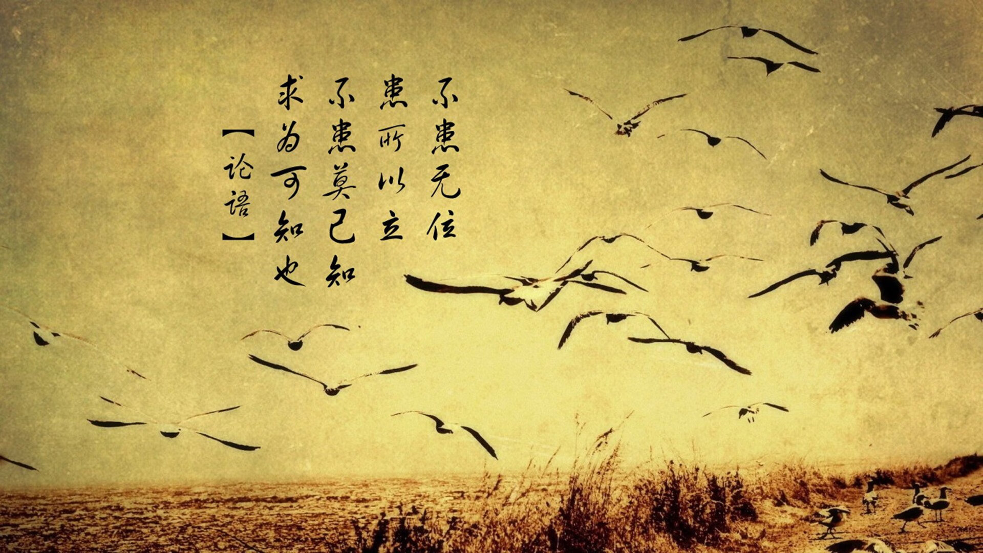 “青训科技创新融合，提升青少年技战术水平”，青少年科技创新培训