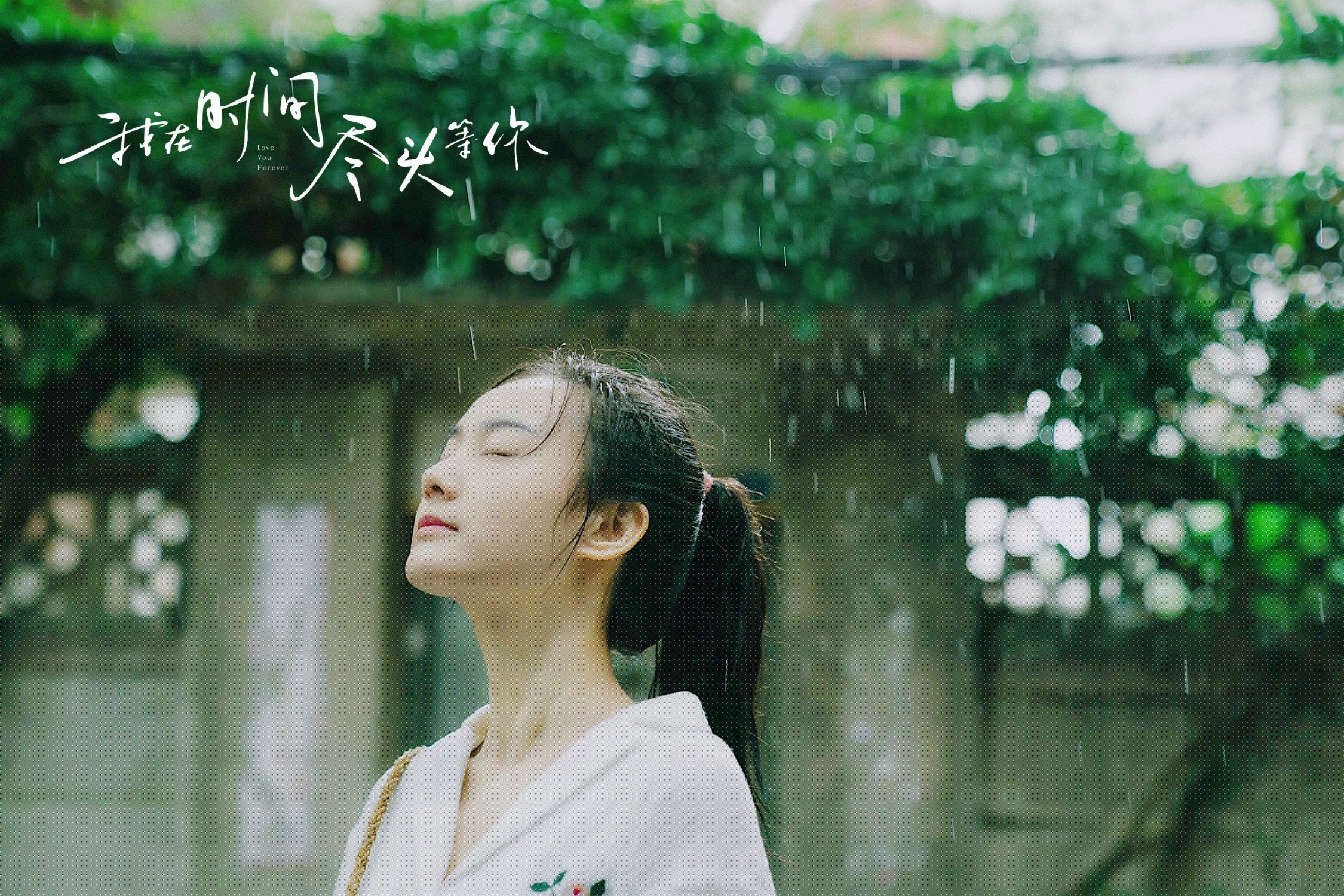 不伦瑞克狮王力挫群雄，蓄势待发再创佳绩
