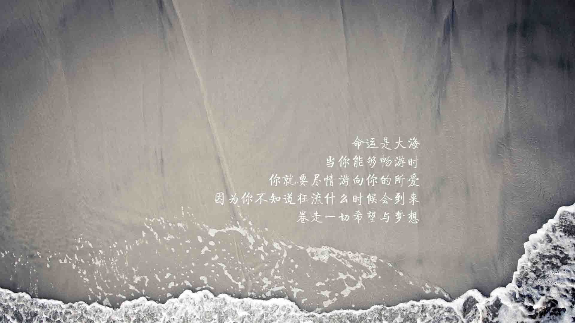 世界羽联总决赛开打，国羽全主力出征冲冠，世界羽联年终总决赛男单决赛
