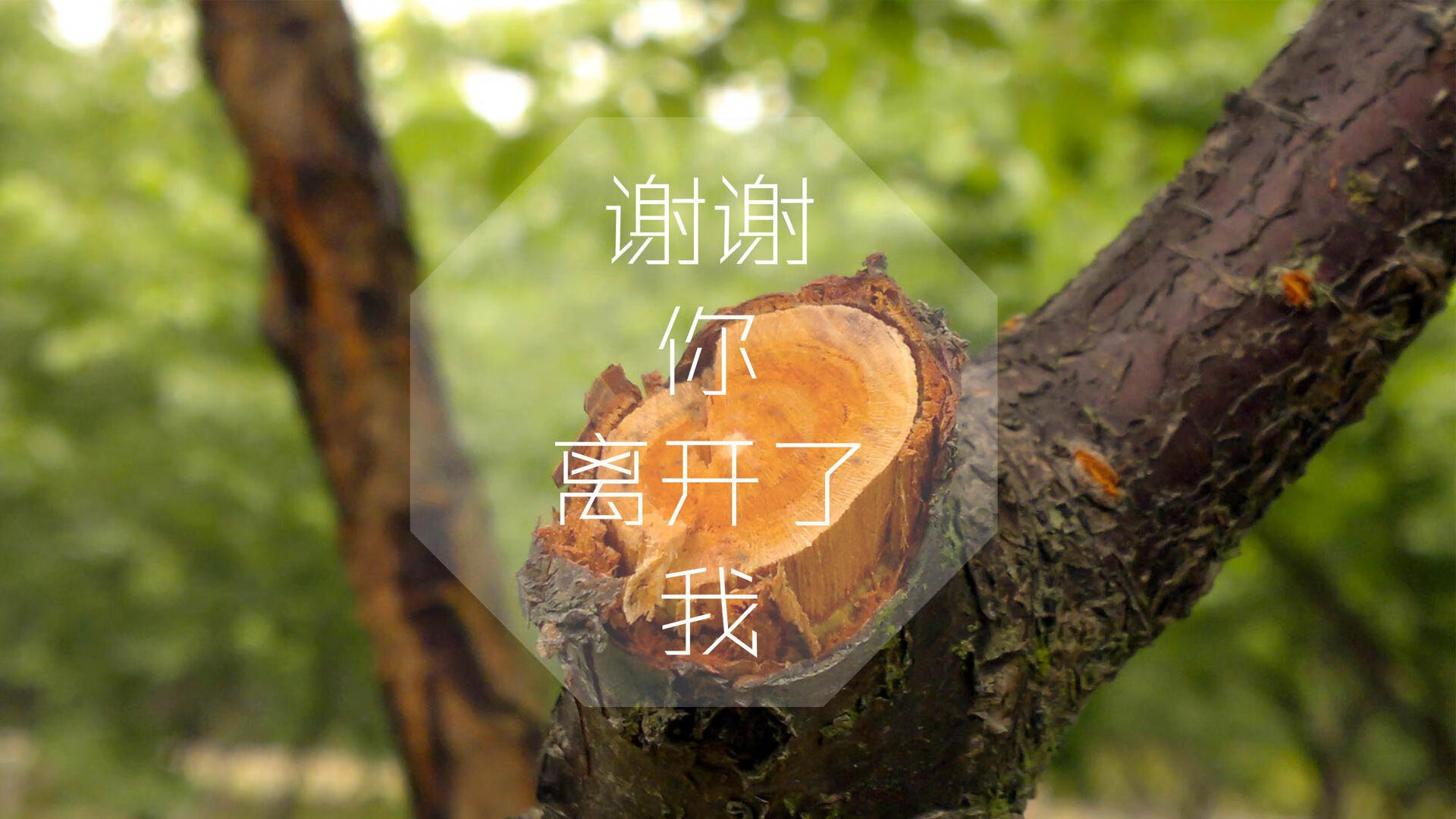 kaiyun登录入口-精彩比赛即将开幕，球迷翘首期待，精彩球赛视频