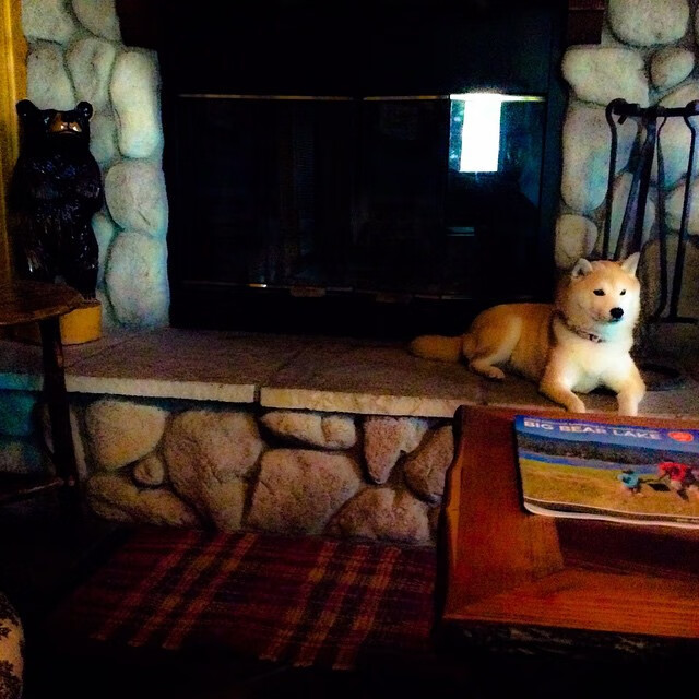 掩护换防节奏中是否容易出现防守漏洞,防守掩护配合有哪四种