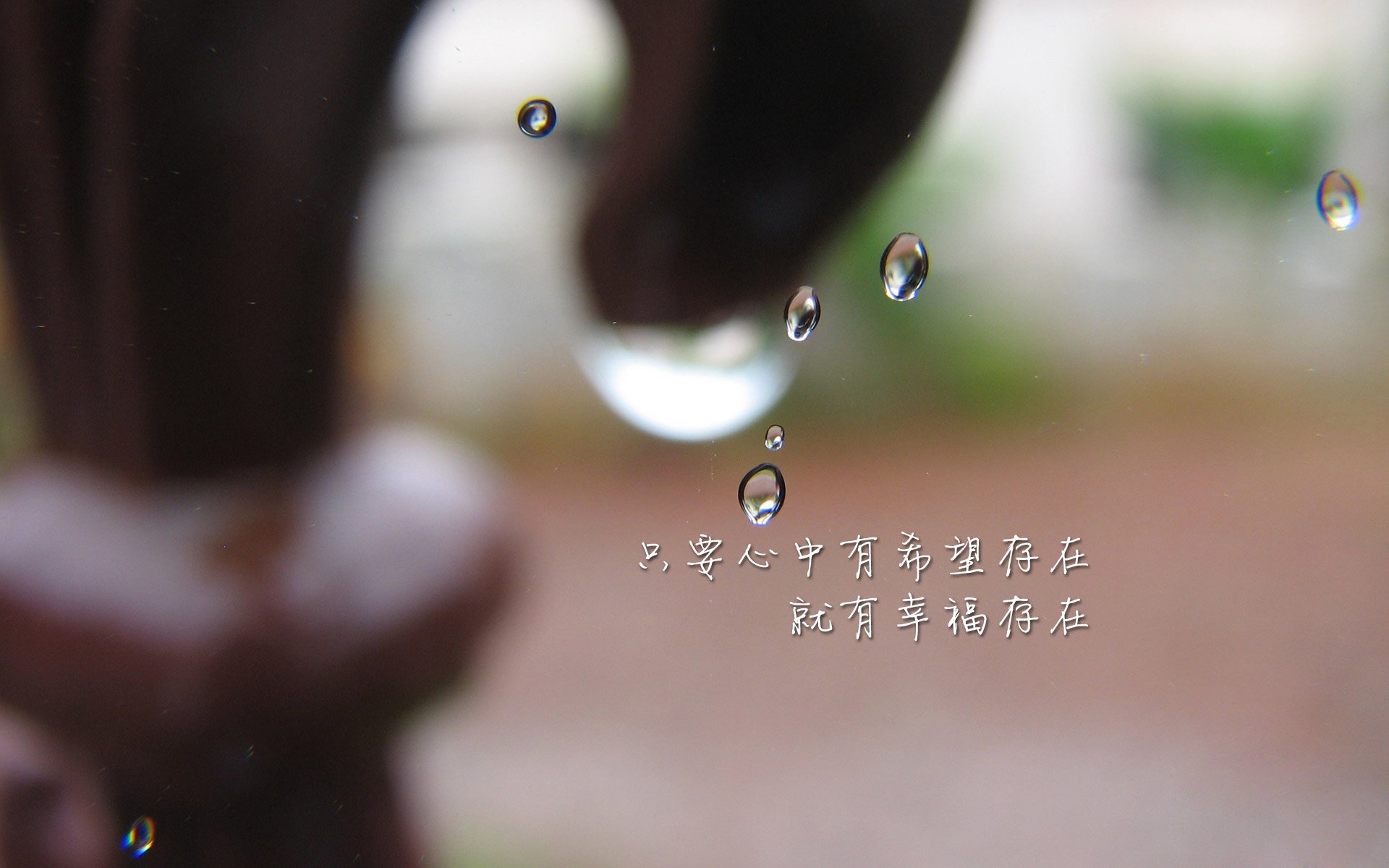 KAIYUNAPP-青年选手国际交流活动频次增加，中国国际青年交流