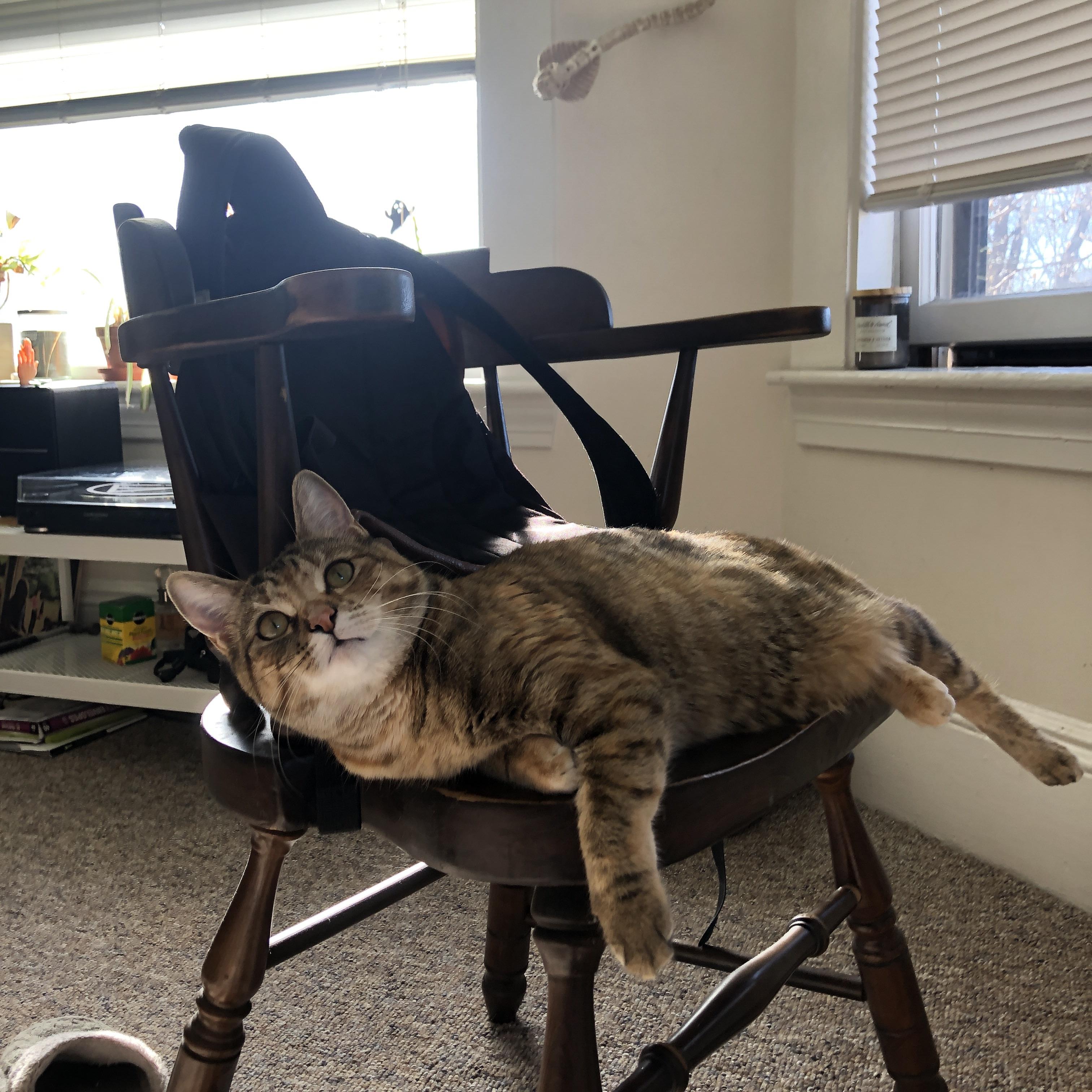 莱昂·马尔尚技术细节解析引关注，豪尔赫·莱昂马丁内斯