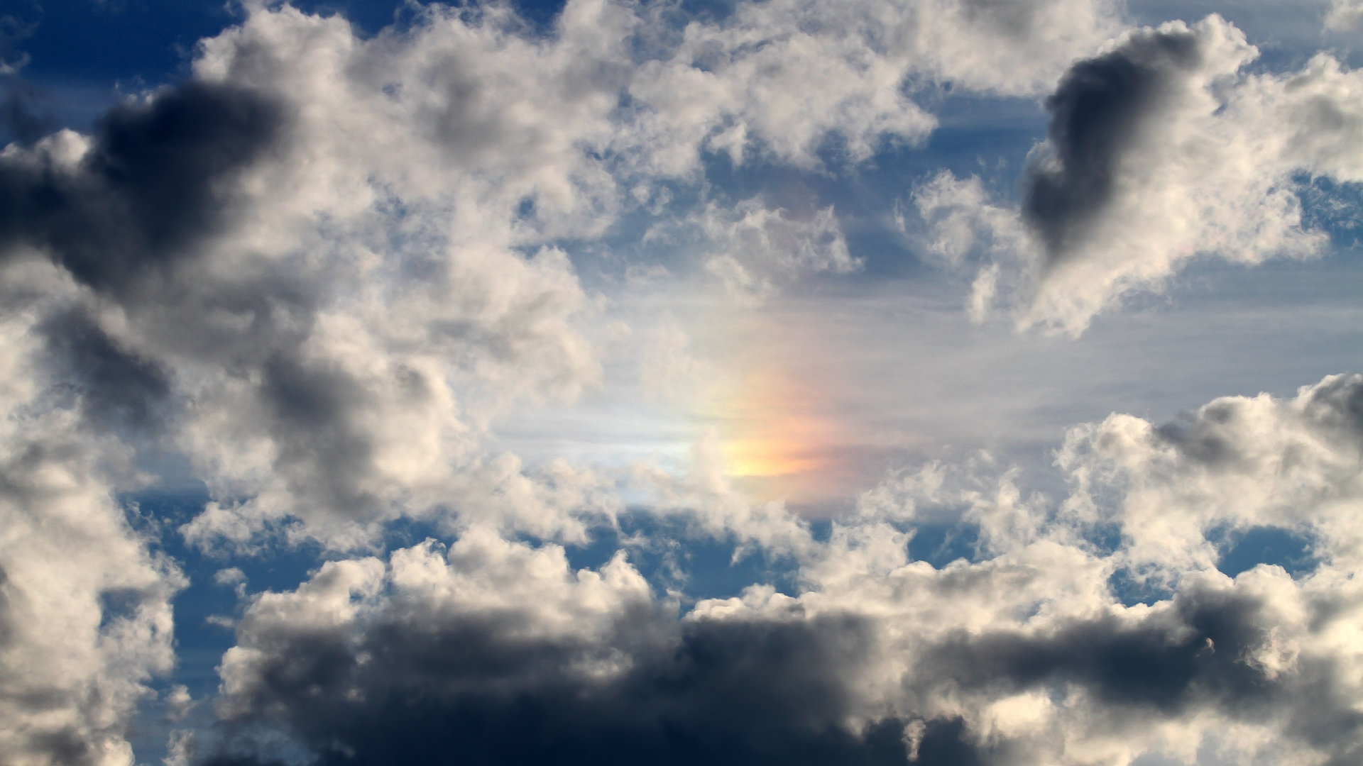 荷兰女将自由泳短程展现爆发力，荷兰游泳奥运冠军